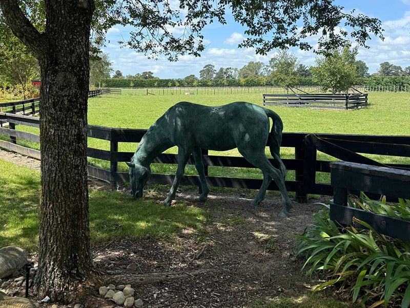 Bronze bull sculpture at a winery estate in Napa Valley, California