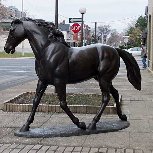 A photo of a standing horse for reference.
