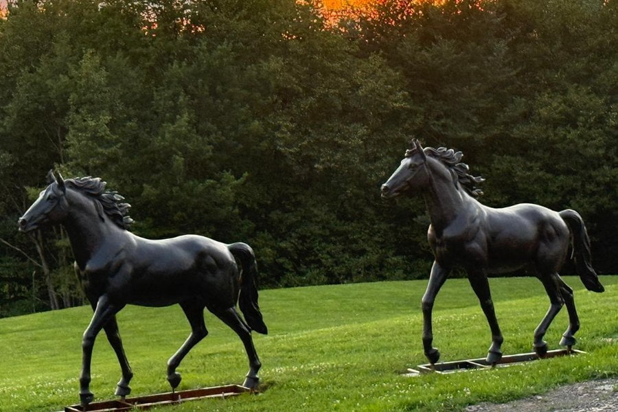 a pair of standing bronze horses for our château garden