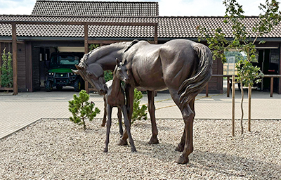 Equestrian Club Bronze Horse Sculpture