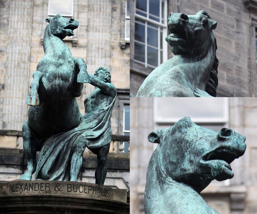 A bronze statue of Alexander and his rearing horse Bucephalus, displaying intricate details of the horse's head and dynamic posture.