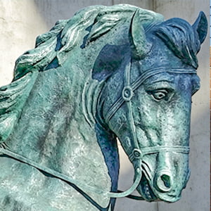 Bronze horse shoulder muscle detail