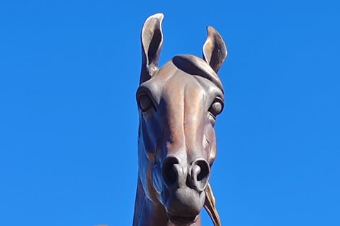Broad prominent forehead jibbah of the Arabian horse sculpture