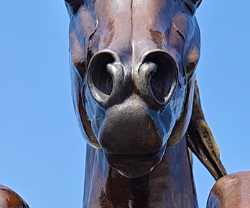 Large flared nostrils sculpted true to life on the bronze horse