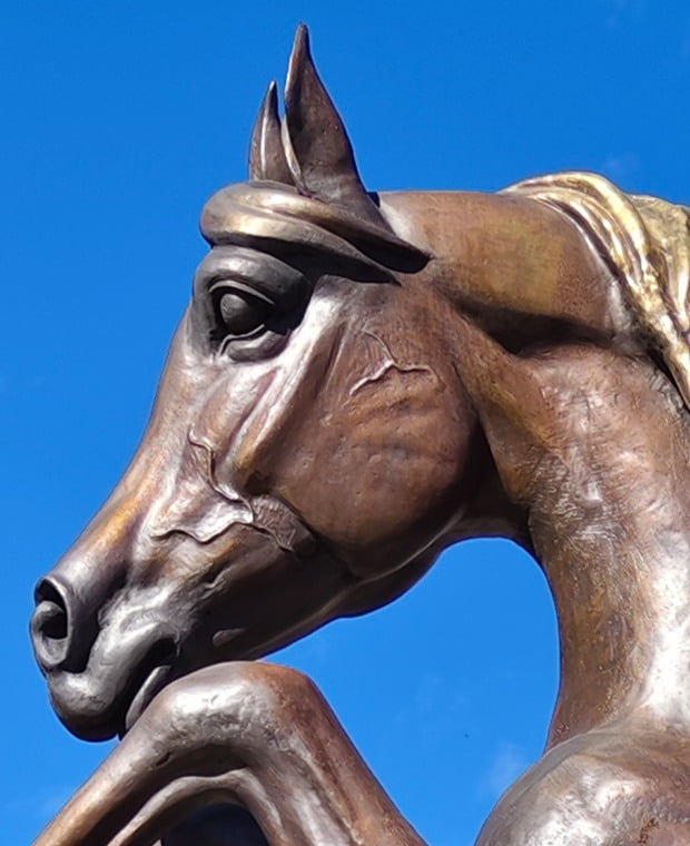 Detail of the Arabian horse's concave dished head profile in cast bronze