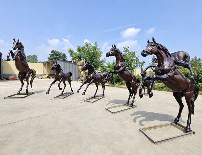 Arabian horse showing signature dished profile and high tail carriage